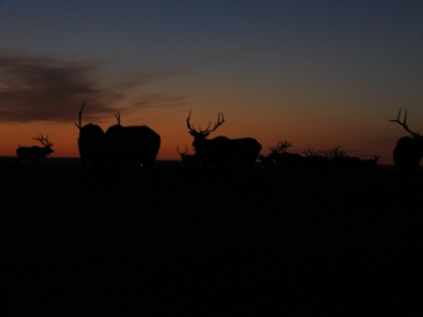 image007